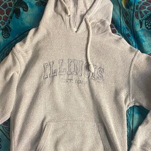 Gray Illinois Hoodie